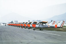 t41a