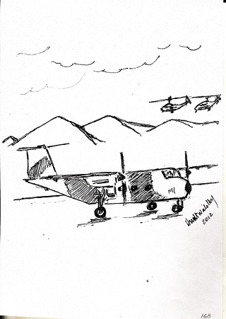 010