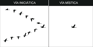 vm