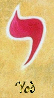 y
